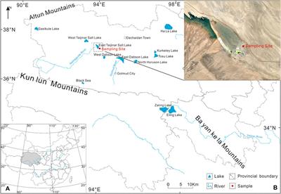Corrigendum: The Composition and Distribution of Volatile Organic Compounds in Sediments of the East Taijinar Salt Lake in Northern Qinghai-Tibet Plateau